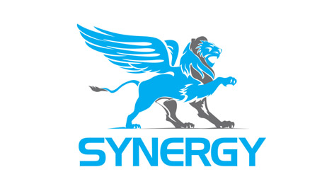 Synergy_brand_identity