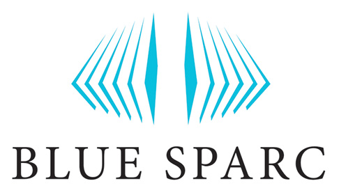 bluespac_corporate_brand_identity