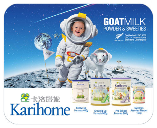 fnb2_poster_karihome