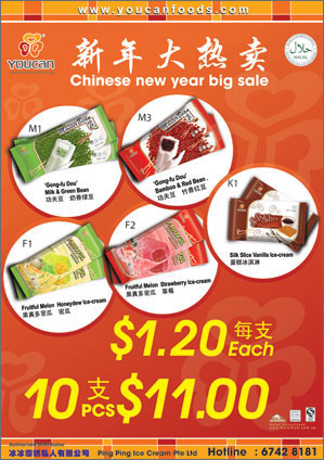 fnb2_promotional_poster_youcan_newyear
